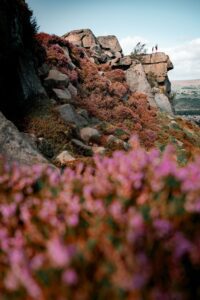 Title: Two people in the distance stood on the edge of a rock looking out to the valley beyond, heather in foreground Mandatory Credit: VisitBritain/Raj Passy Licence: Commercial Restricted Use: - Location: Ilkley, West Yorkshire, England